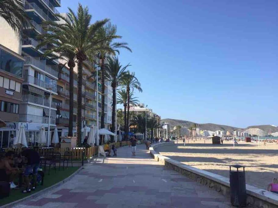 New Stylish Beach Front Apartment クリェラ エクステリア 写真