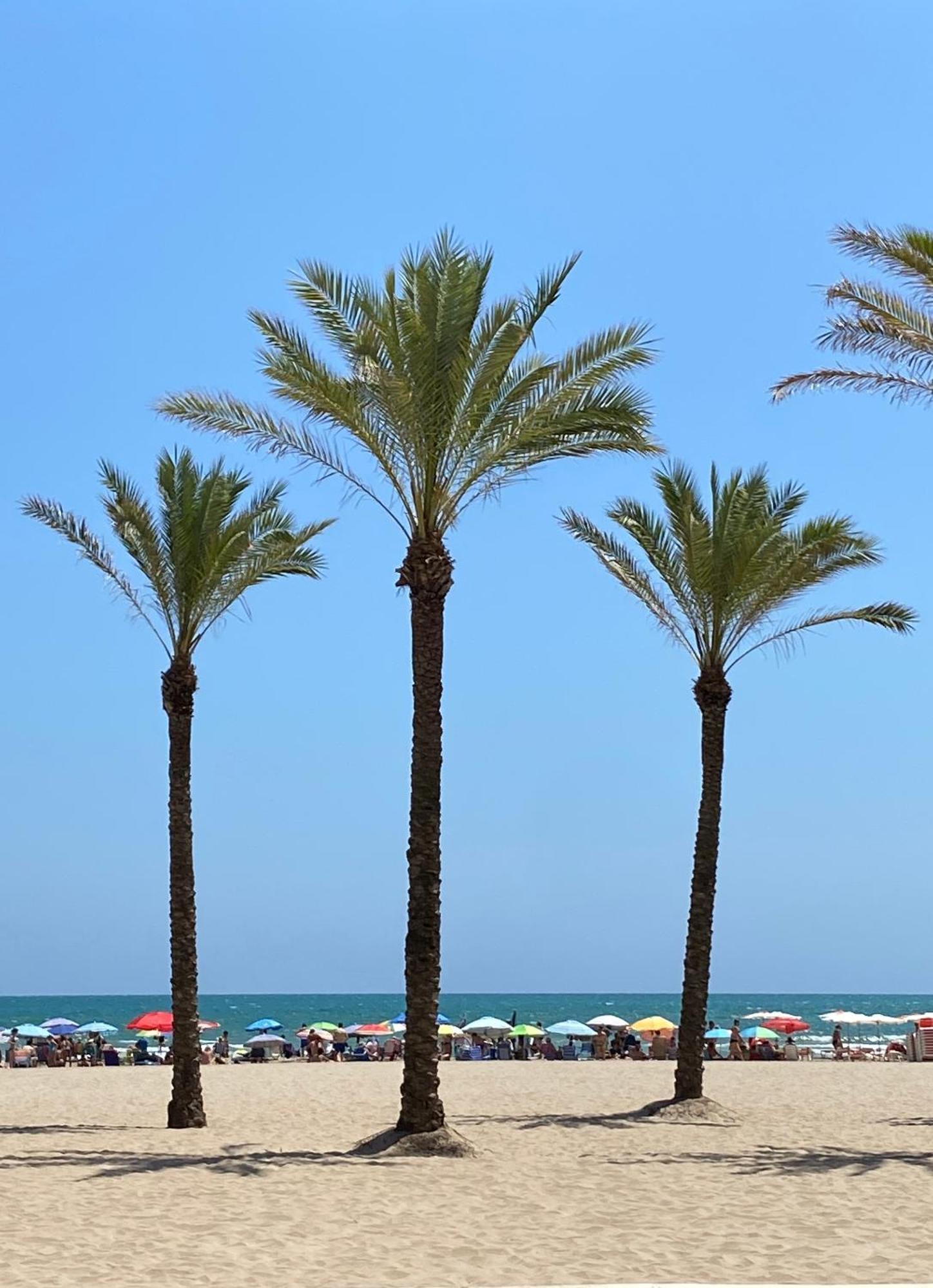 New Stylish Beach Front Apartment クリェラ エクステリア 写真